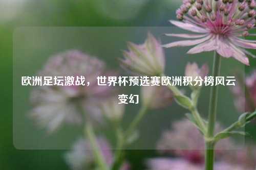 欧洲足坛激战，世界杯预选赛欧洲积分榜风云变幻