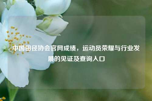 中国田径协会官网成绩,运动员荣耀与行业发展的见证及查询入口