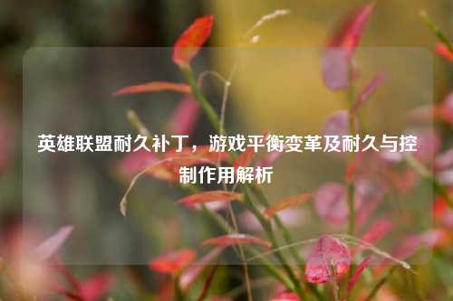 英雄联盟耐久补丁，游戏平衡变革及耐久与控制作用解析