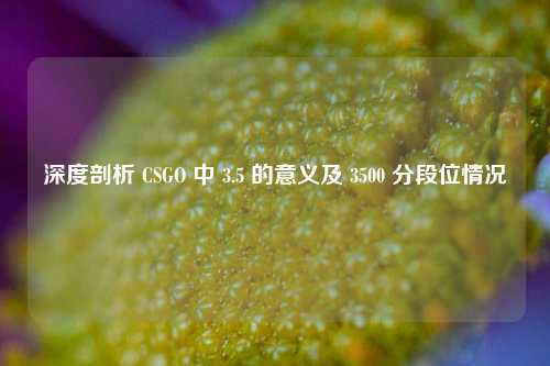 深度剖析 CSGO 中 3.5 的意义及 3500 分段位情况