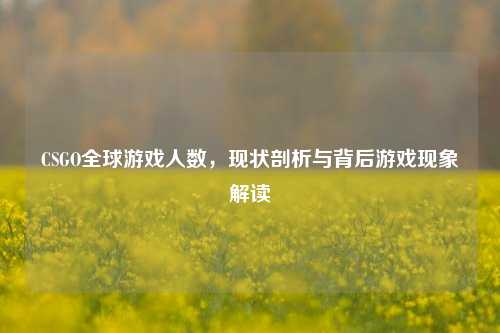 CSGO全球游戏人数,现状剖析与背后游戏现象解读