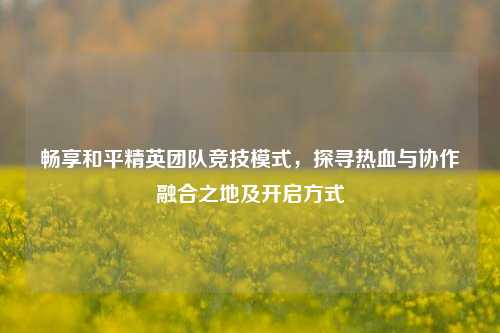 畅享和平精英团队竞技模式，探寻热血与协作融合之地及开启方式