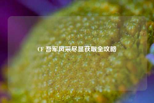 CF 吾军风采尽显获取全攻略