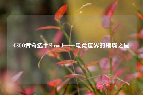 CSGO传奇选手Shroud——电竞世界的璀璨之星