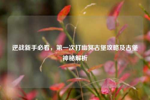 逆战新手必看,第一次打幽冥古堡攻略及古堡神秘解析