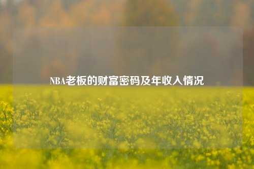 NBA老板的财富密码及年收入情况
