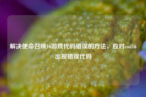 解决使命召唤16游戏代码错误的方法,应对cod16出现错误代码