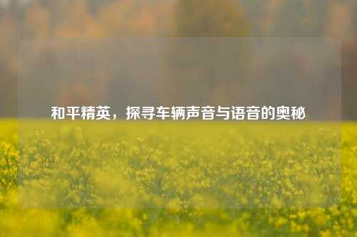 和平精英,探寻车辆声音与语音的奥秘