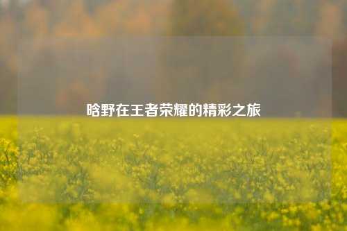 晗野在王者荣耀的精彩之旅