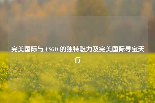 完美国际与 CSGO 的独特魅力及完美国际寻宝天行