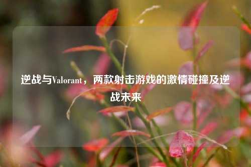 逆战与Valorant,两款射击游戏的激情碰撞及逆战未来
