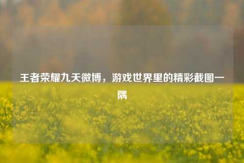 王者荣耀九天微博，游戏世界里的精彩截图一隅