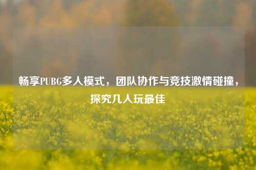 畅享PUBG多人模式，团队协作与竞技激情碰撞，探究几人玩最佳