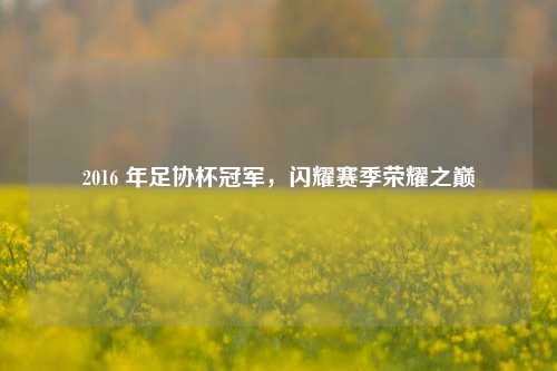2016 年足协杯冠军,闪耀赛季荣耀之巅