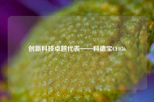 创新科技卓越代表——科德宝CF036