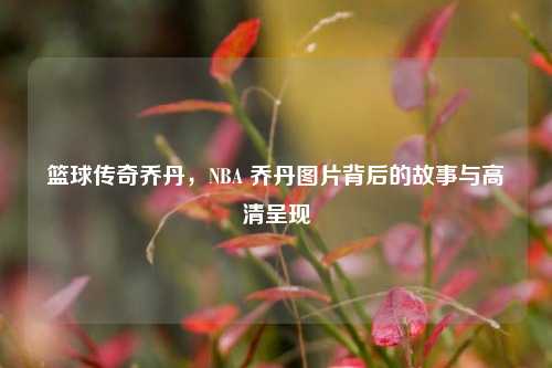 篮球传奇乔丹，NBA 乔丹图片背后的故事与高清呈现