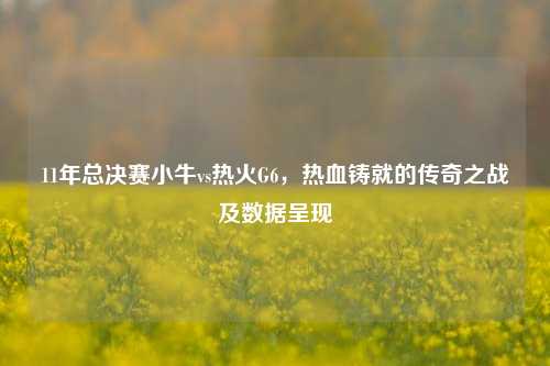 11年总决赛小牛vs热火G6,热血铸就的传奇之战及数据呈现
