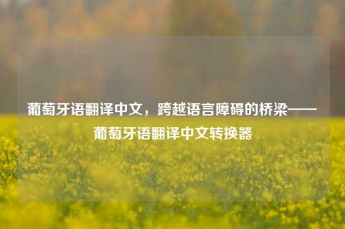 葡萄牙语翻译中文，跨越语言障碍的桥梁——葡萄牙语翻译中文转换器
