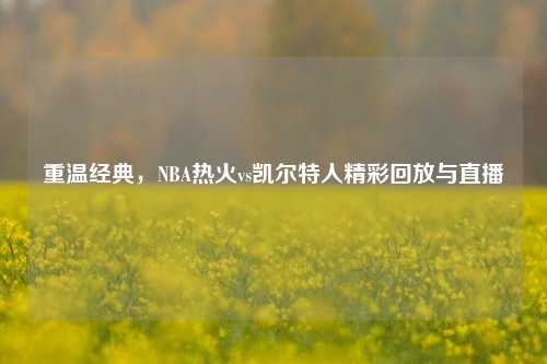 重温经典，NBA热火vs凯尔特人精彩回放与直播
