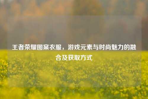 王者荣耀图案衣服，游戏元素与时尚魅力的融合及获取方式
