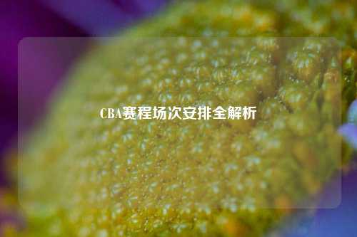 CBA赛程场次安排全解析