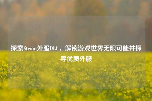 探索Steam外服DLC,解锁游戏世界无限可能并探寻优质外服