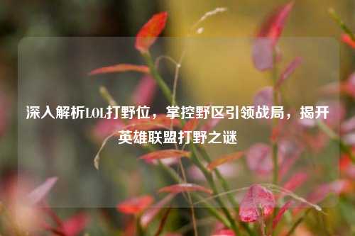 深入解析LOL打野位，掌控野区引领战局，揭开英雄联盟打野之谜