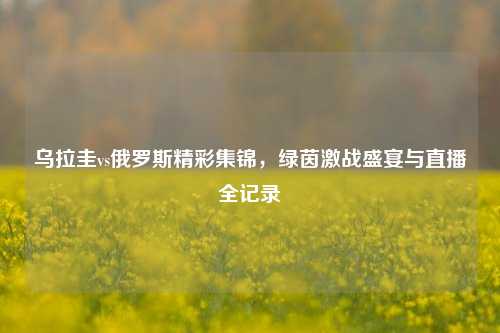 乌拉圭vs俄罗斯精彩集锦，绿茵激战盛宴与直播全记录