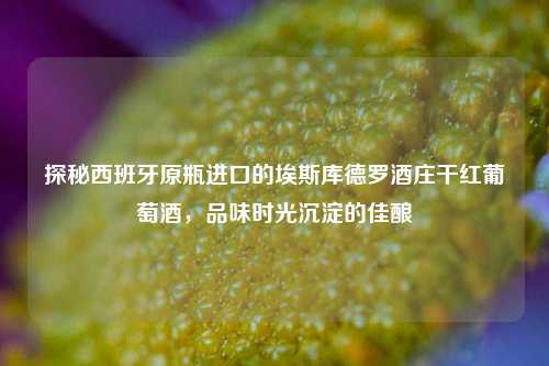 探秘西班牙原瓶进口的埃斯库德罗酒庄干红葡萄酒，品味时光沉淀的佳酿