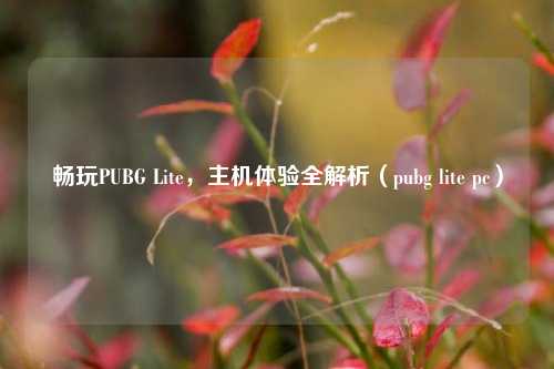 畅玩PUBG Lite,主机体验全解析(pubg lite pc)