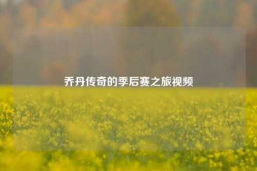 乔丹传奇的季后赛之旅视频