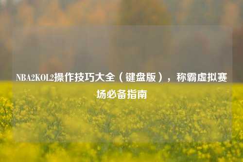 NBA2KOL2操作技巧大全(键盘版),称霸虚拟赛场必备指南