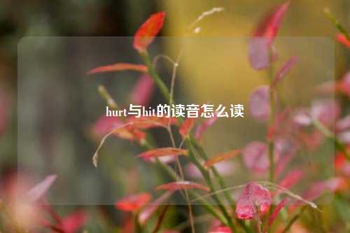 hurt与hit的读音怎么读