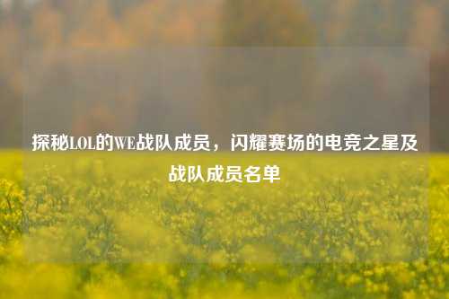 探秘LOL的WE战队成员，闪耀赛场的电竞之星及战队成员名单