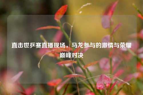直击世乒赛直播现场,马龙参与的激情与荣耀巅峰对决