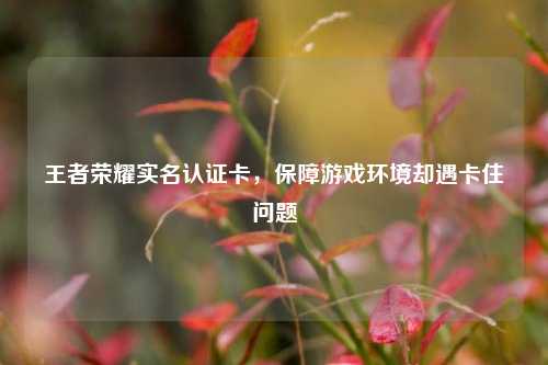 王者荣耀实名认证卡，保障游戏环境却遇卡住问题