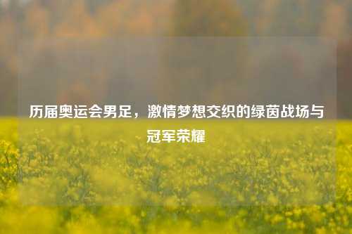 历届奥运会男足，激情梦想交织的绿茵战场与冠军荣耀