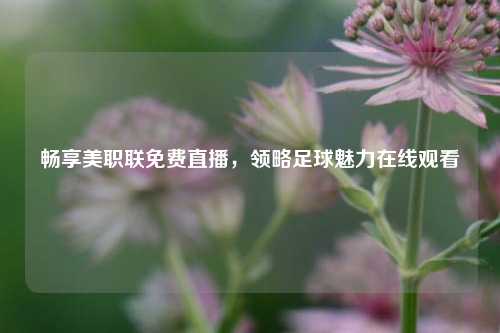 畅享美职联免费直播，领略足球魅力在线观看