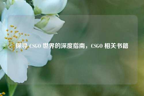 探寻 CSGO 世界的深度指南，CSGO 相关书籍