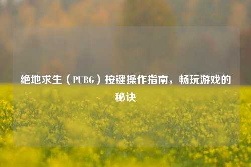 绝地求生(PUBG)按键操作指南,畅玩游戏的秘诀