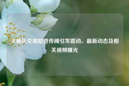 火箭队交易哈登传闻引发震动,最新动态及相关视频曝光