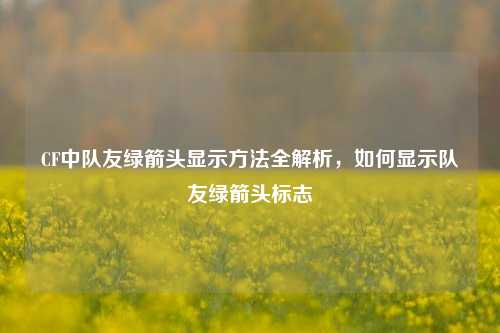 CF中队友绿箭头显示方法全解析，如何显示队友绿箭头标志