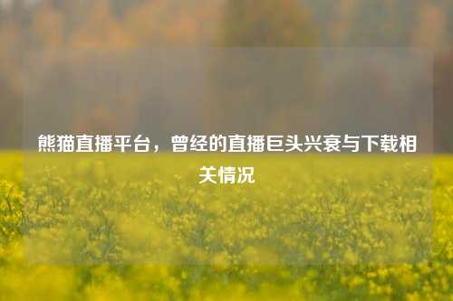 熊猫直播平台,曾经的直播巨头兴衰与下载相关情况