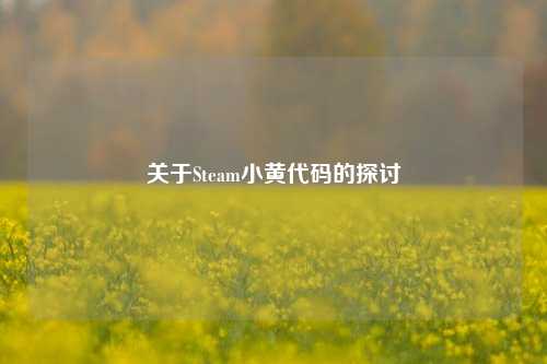 关于Steam小黄代码的探讨