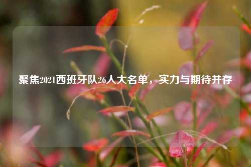 聚焦2021西班牙队26人大名单，实力与期待并存