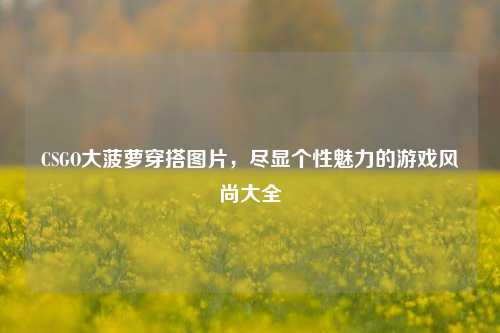 CSGO大菠萝穿搭图片,尽显个性魅力的游戏风尚大全