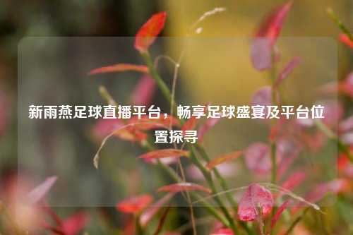 新雨燕足球直播平台,畅享足球盛宴及平台位置探寻
