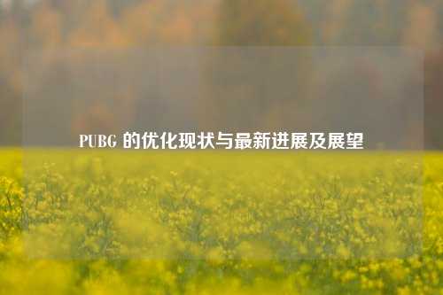 PUBG 的优化现状与最新进展及展望