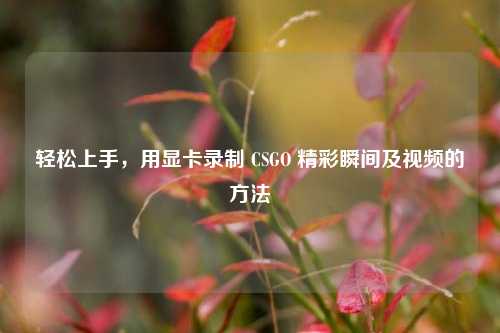 轻松上手，用显卡录制 CSGO 精彩瞬间及视频的方法