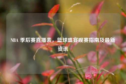 NBA 季后赛直播表，篮球盛宴观赛指南及最新资讯